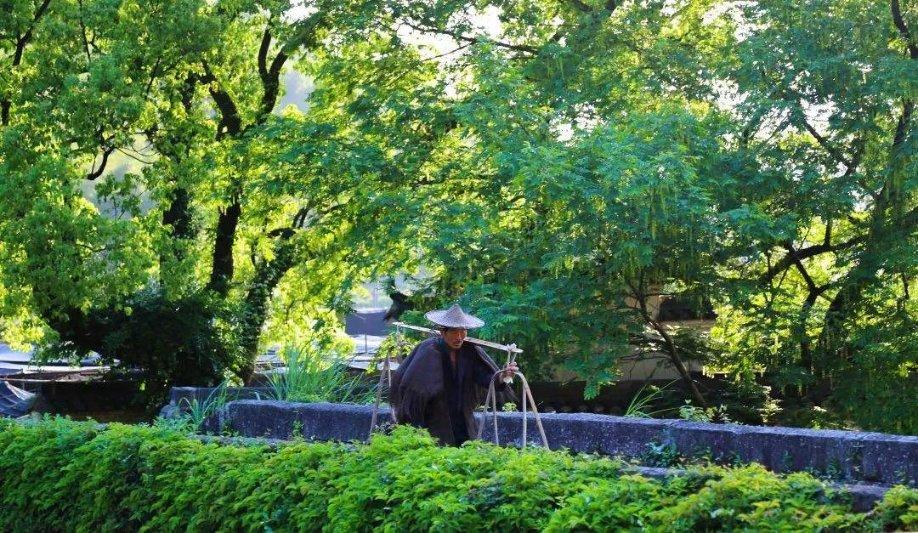 通辽西拉木伦动物园猴山猴山猴群与猫共栖现象