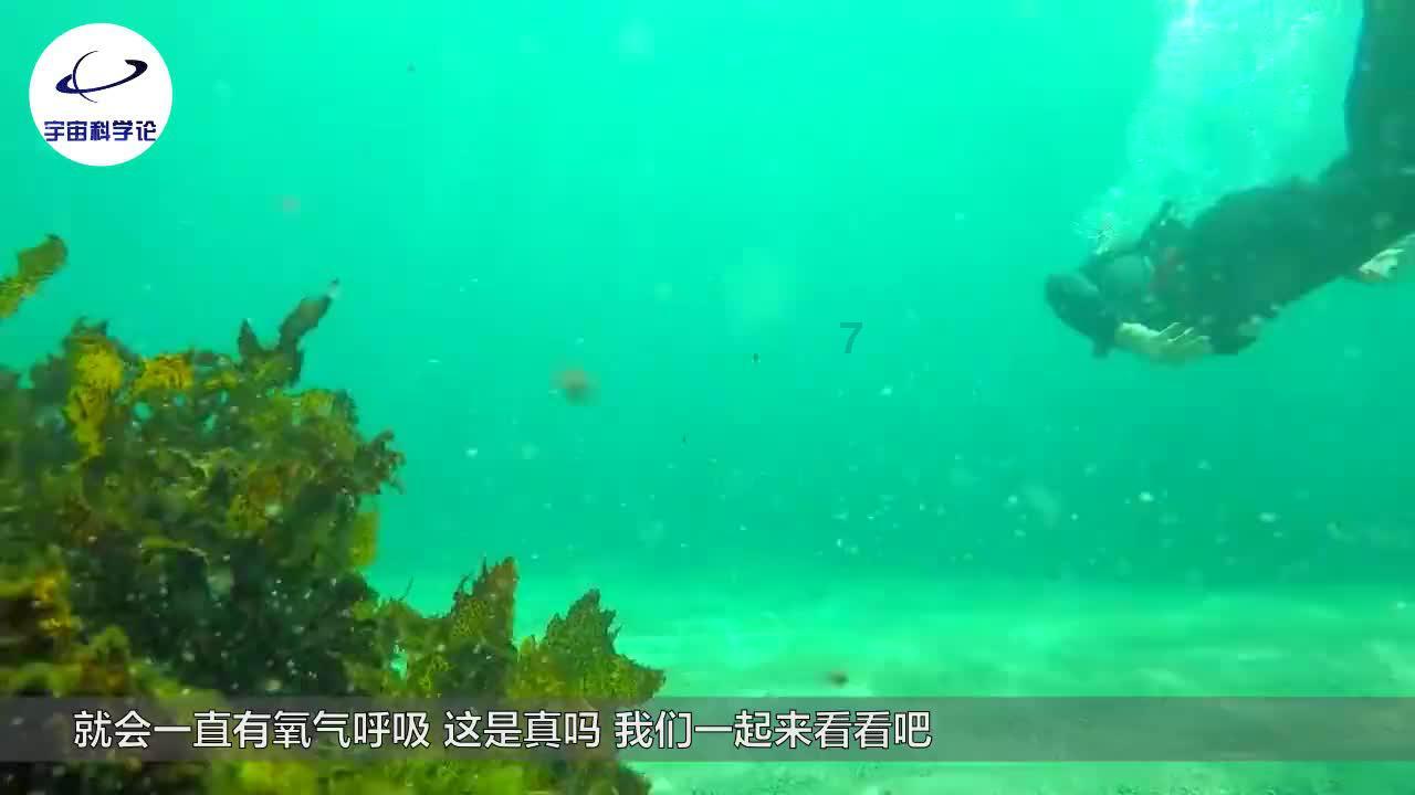 逃离荒凉之地