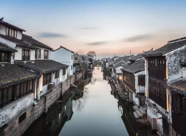 饿狮救援